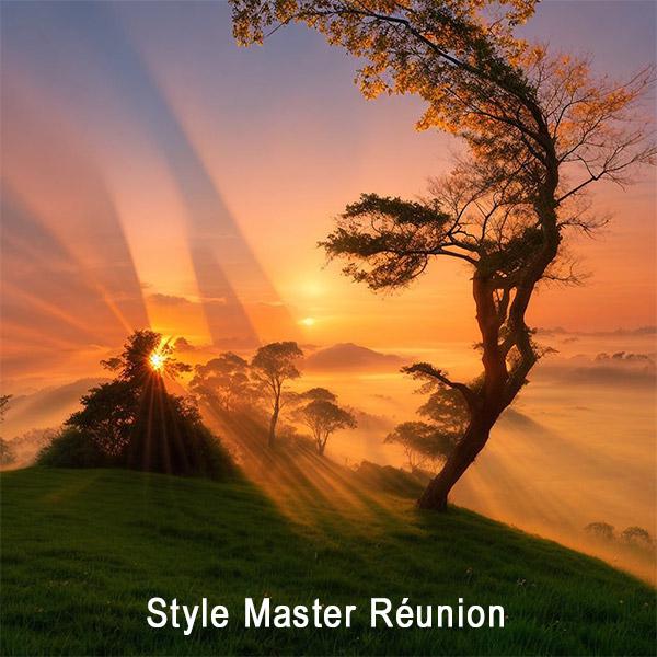 Style master