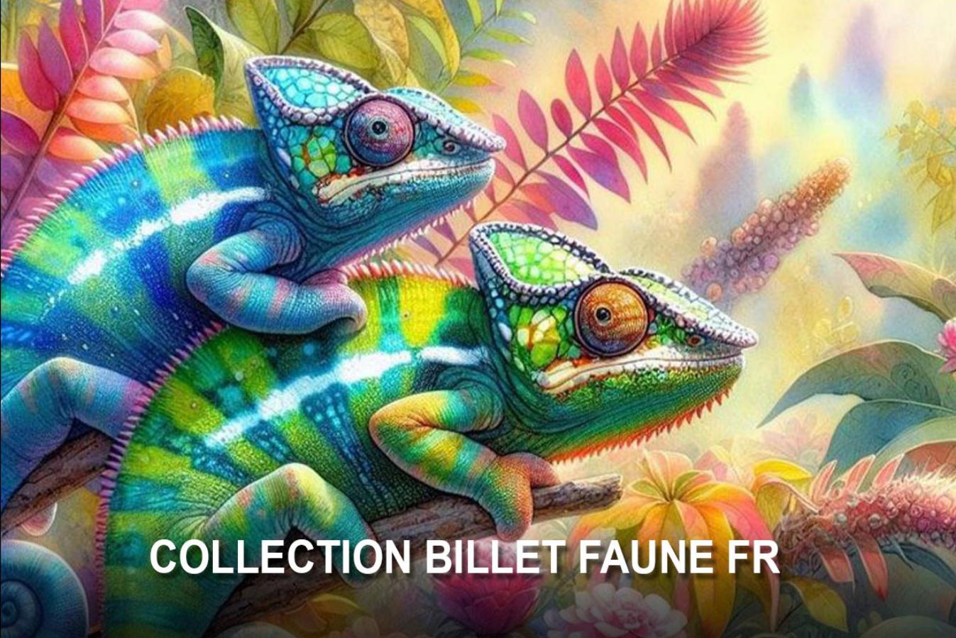 La Collection Faune Pays Fr
